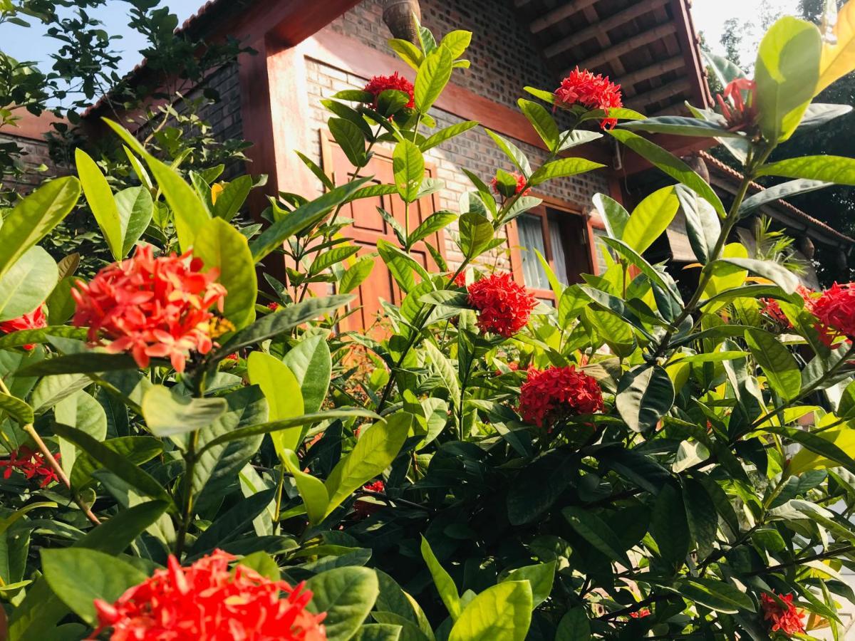 Tam Coc Friendly Homestay Ninh Binh Luaran gambar