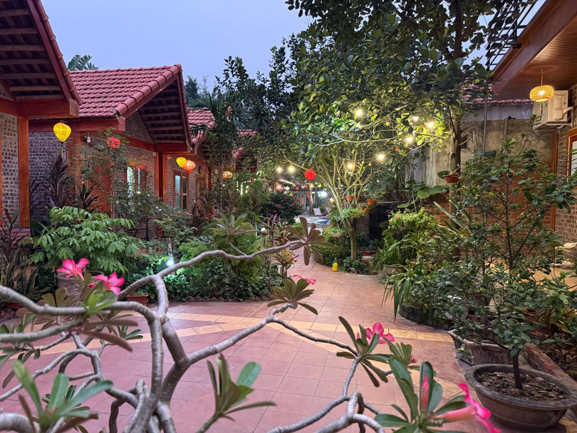 Tam Coc Friendly Homestay Ninh Binh Luaran gambar