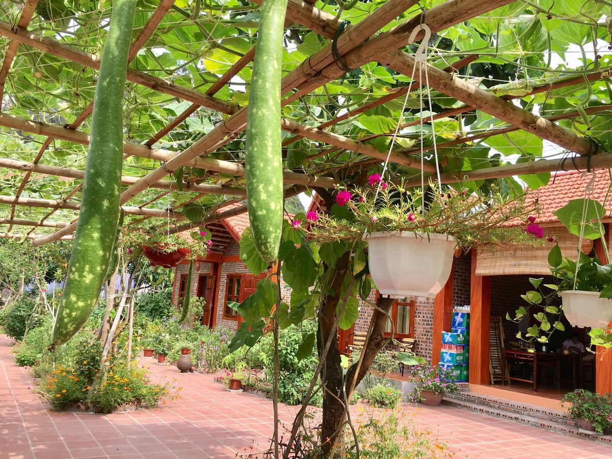 Tam Coc Friendly Homestay Ninh Binh Luaran gambar