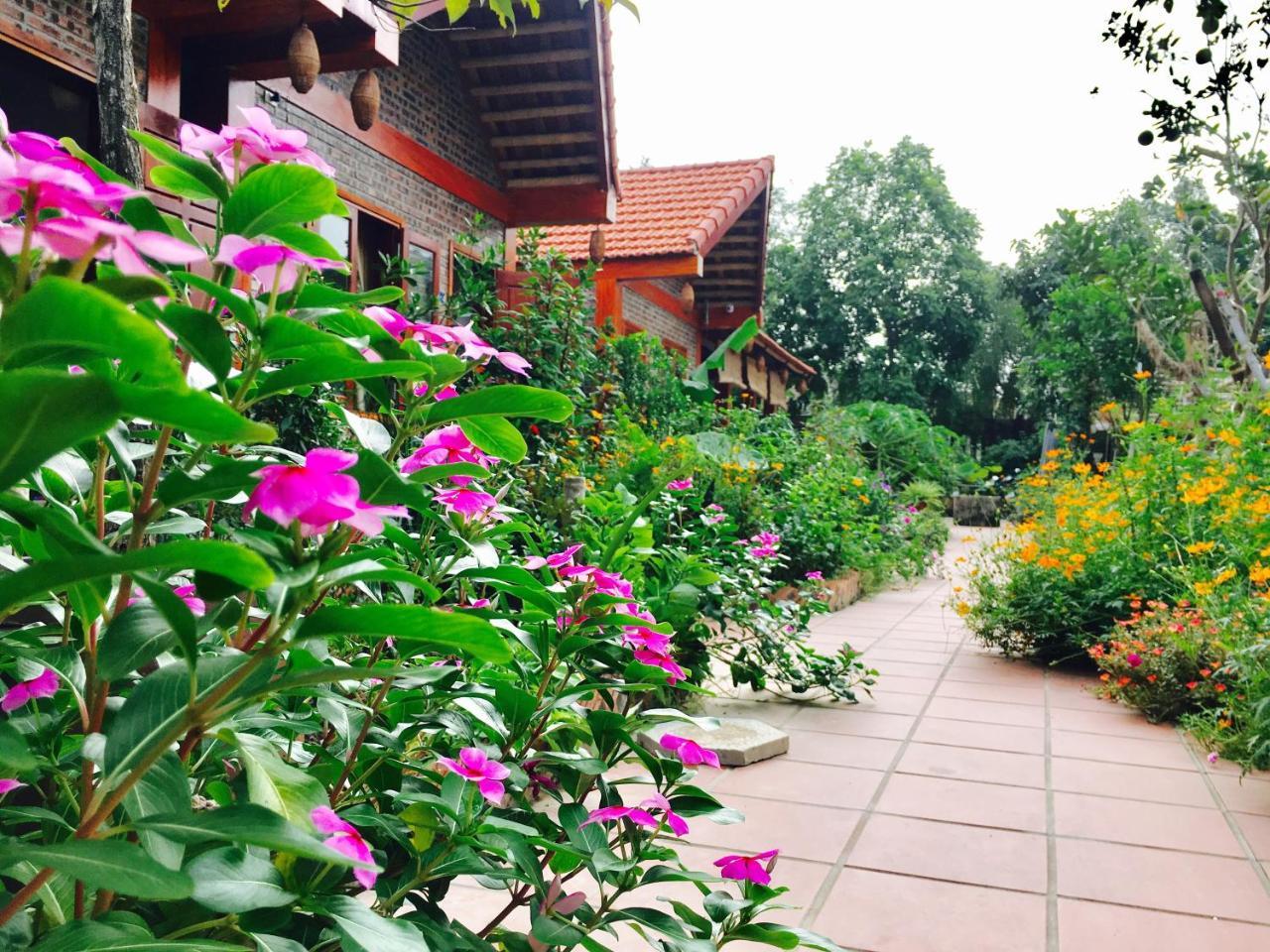Tam Coc Friendly Homestay Ninh Binh Luaran gambar