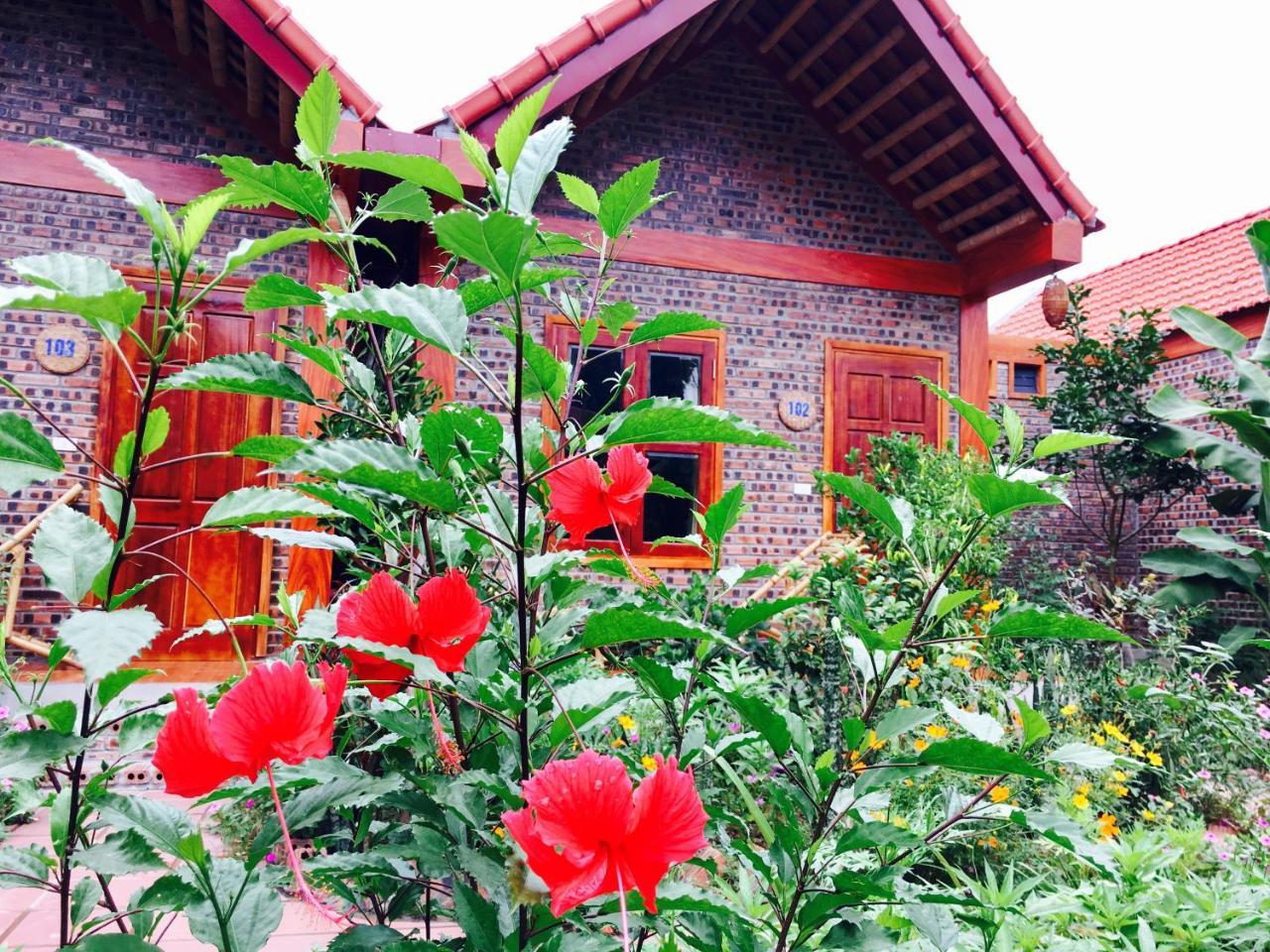 Tam Coc Friendly Homestay Ninh Binh Luaran gambar